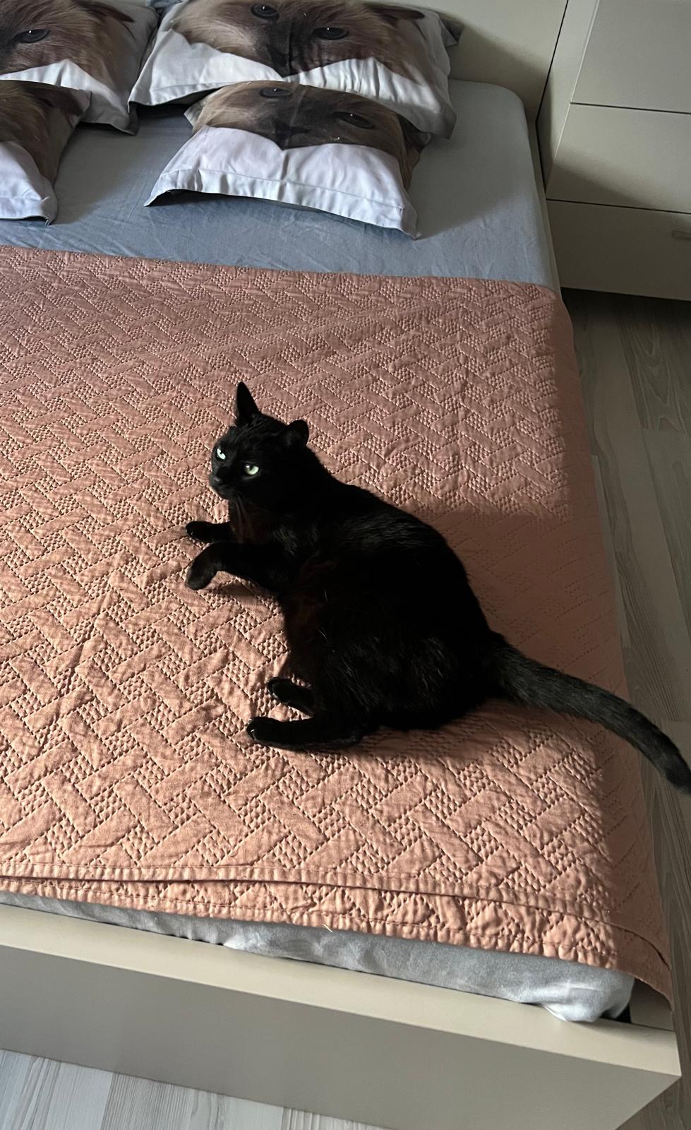 Imagine suplimentară